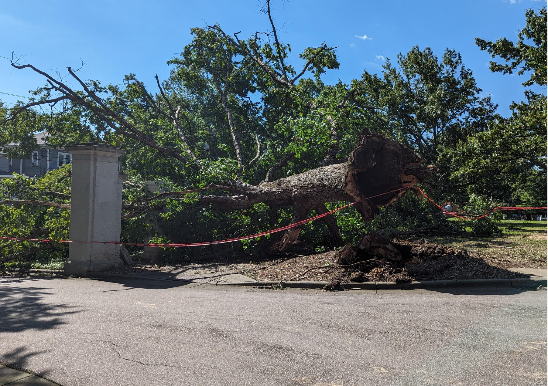 Perspective: NCSSM Apocalypse: Scenes from Around Campus in the Wake of a Storm