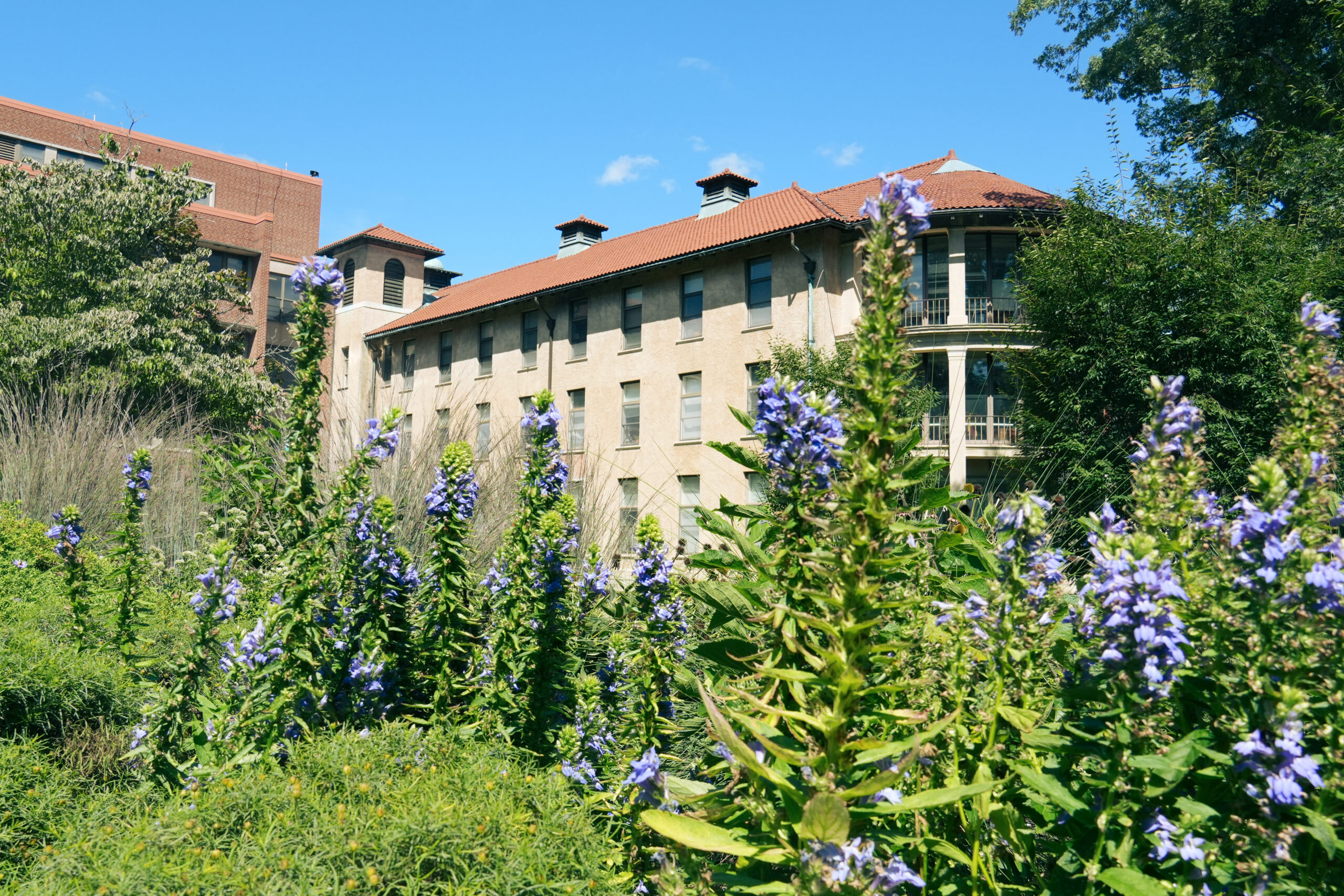 Pollinator Gardens Bloom With Student-Teacher Efforts