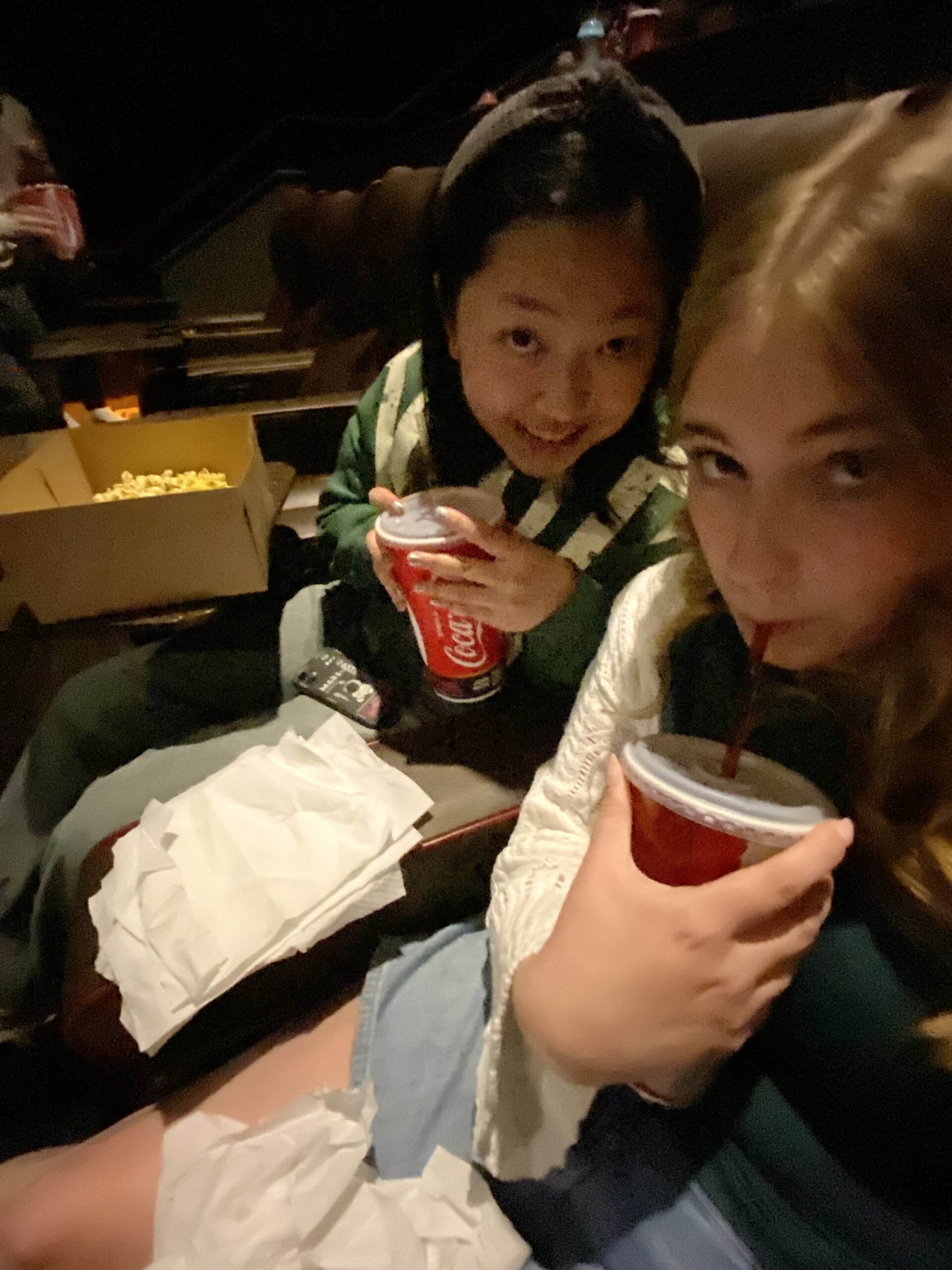 What the Flip was ‘A Minecraft Movie’